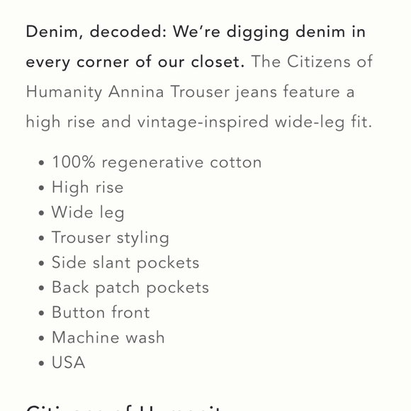 Citizens Of Humanity Annina Trouser Jean - Picture 11 of 14